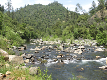 Digging for Treasure: Gold Prospecting - Roaring Camp Gold