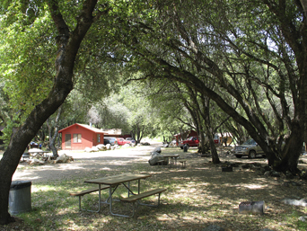 Digging for Treasure: Gold Prospecting - Roaring Camp Gold