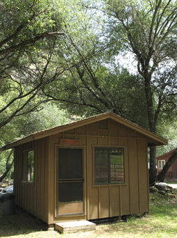 Digging for Treasure: Gold Prospecting - Roaring Camp Gold